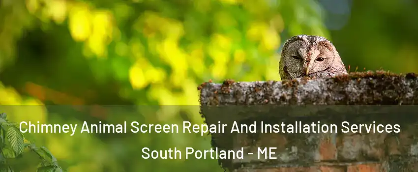  Chimney Animal Screen Repair And Installation Services South Portland - ME