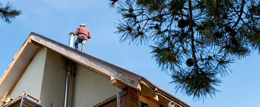 Birds Removal Contractors from Chimney in South Portland, ME